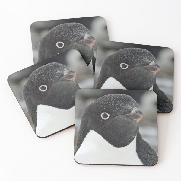 Item preview, Curious Penguin designed and sold by Frank Parisi.