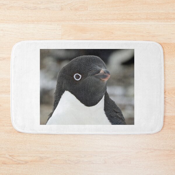 Item preview, Curious Penguin designed and sold by Frank Parisi.