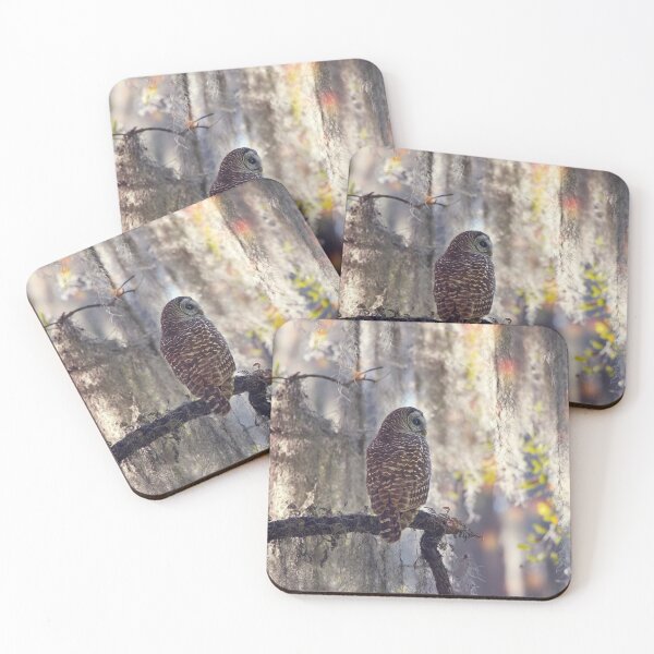Item preview, Barred Owl Perches on a Branch in Florida Wetlands designed and sold by svetlanna.