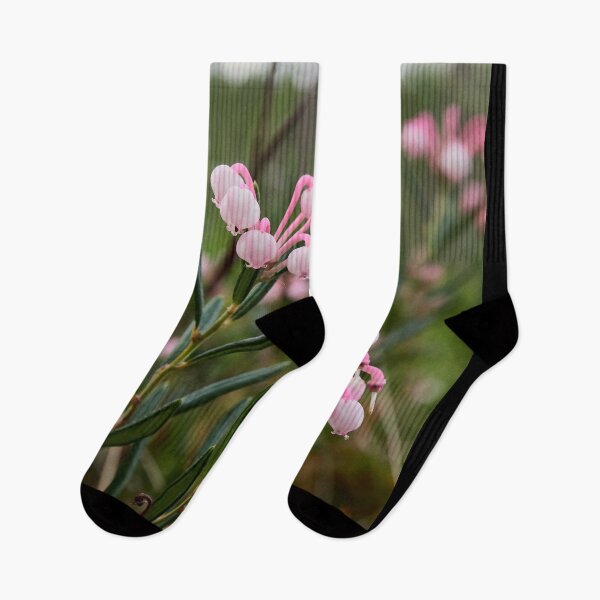 Item preview, Pink dreams. Bog Rosemary designed and sold by Jouko Lehto Photography.