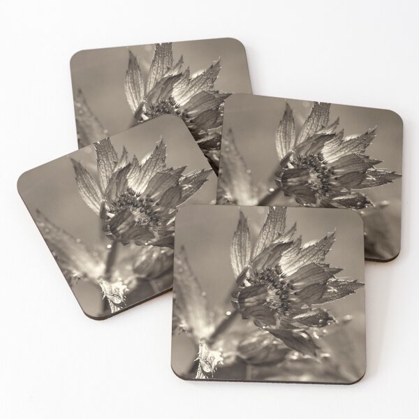 Item preview, Looking A View  designed and sold by Carl Gaynor.