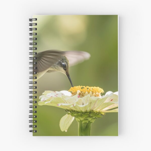 Item preview, Ruby Throated Hummingbird 2016-8 designed and sold by Thomasyoung.