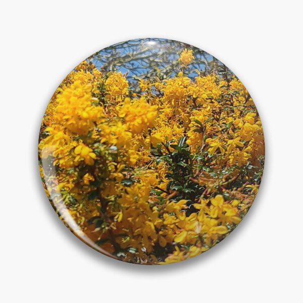 Item preview,   TAMalloyPhoto - A Blaze of Yellow Azaleas designed and sold by TAMalloyPhoto.