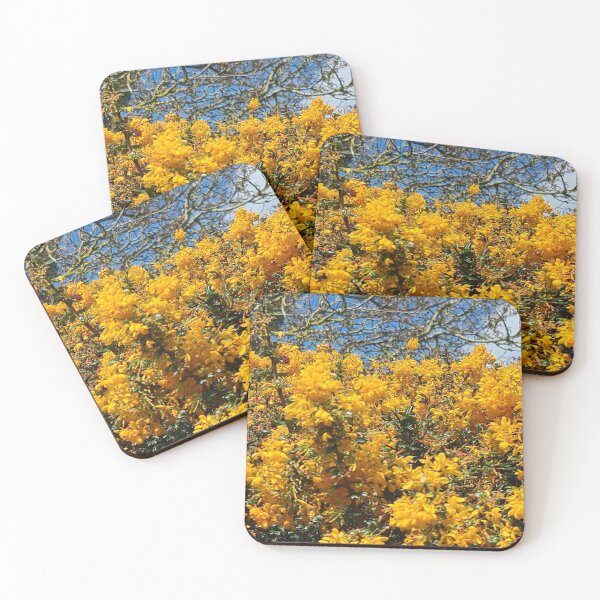 Item preview,   TAMalloyPhoto - A Blaze of Yellow Azaleas designed and sold by TAMalloyPhoto.