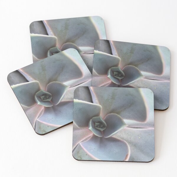 Item preview, Sedum Spiral designed and sold by pern-the-fern.