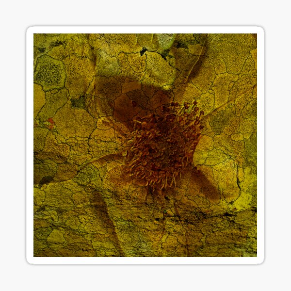 Floral Symbiosis 5 Sticker