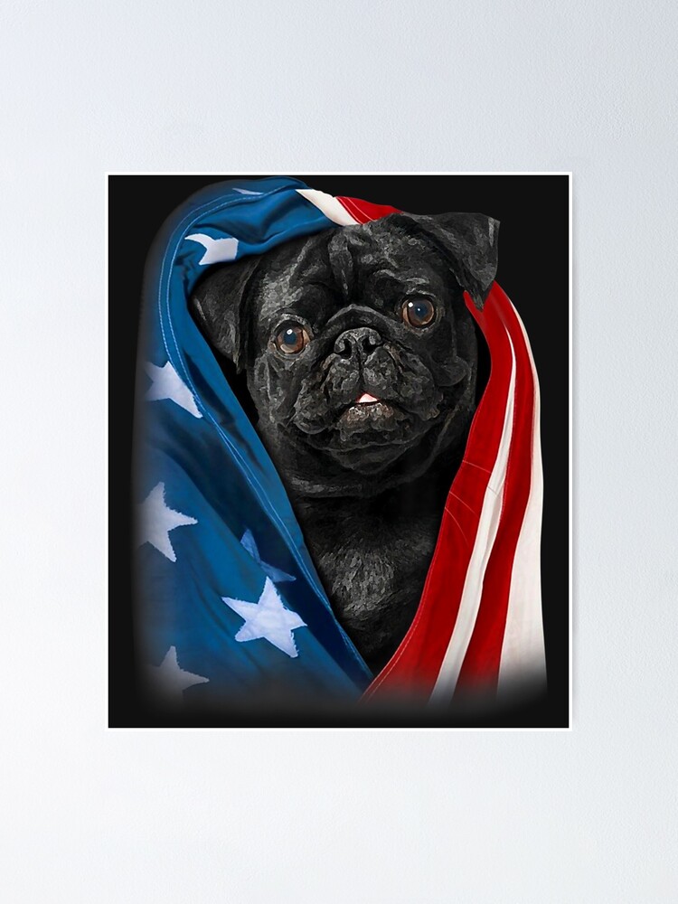 Football Player Pug' Unisex Stars & Stripes T-Shirt