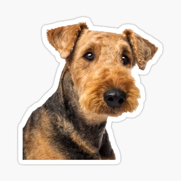 Limited Edition Lakeland Terrier Schlüsselanhänger ART-DOG 