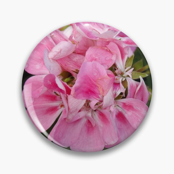 Item preview, Pink Pelargonium designed and sold by Martina Nicolls.