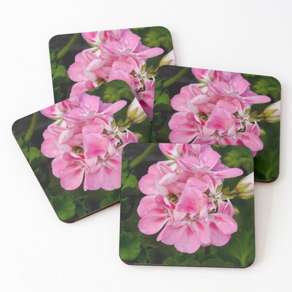 Item preview, Pink Pelargonium designed and sold by Martina Nicolls.