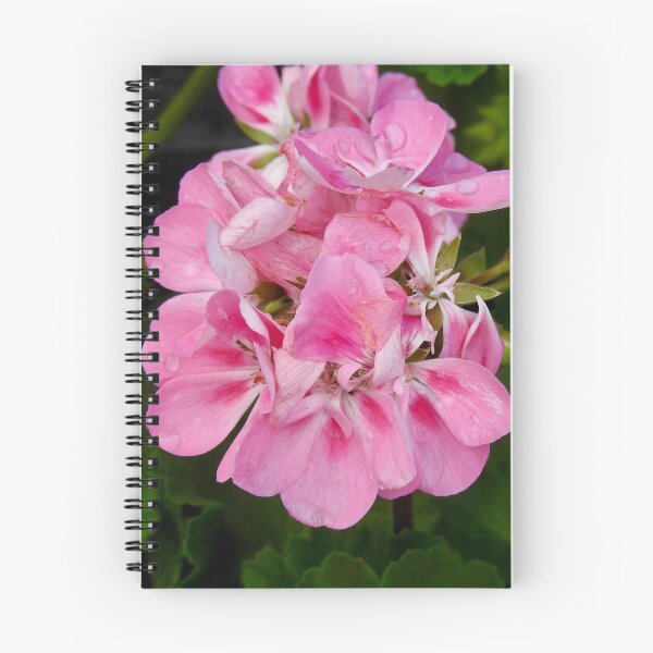 Item preview, Pink Pelargonium designed and sold by Martina Nicolls.
