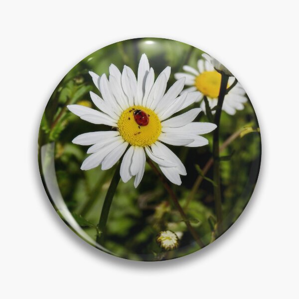 Pin Button