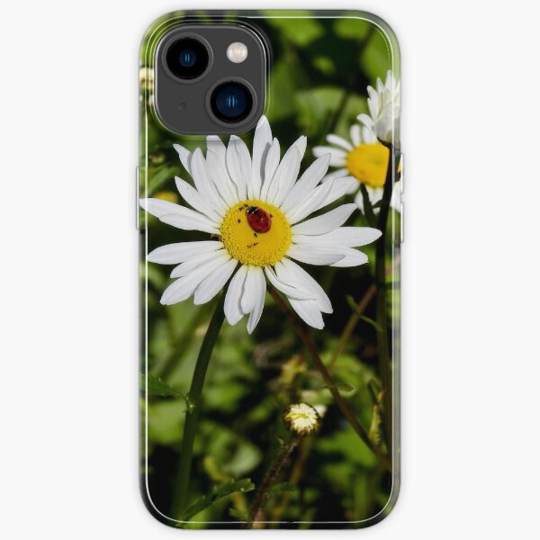 iPhone 14 - Soft