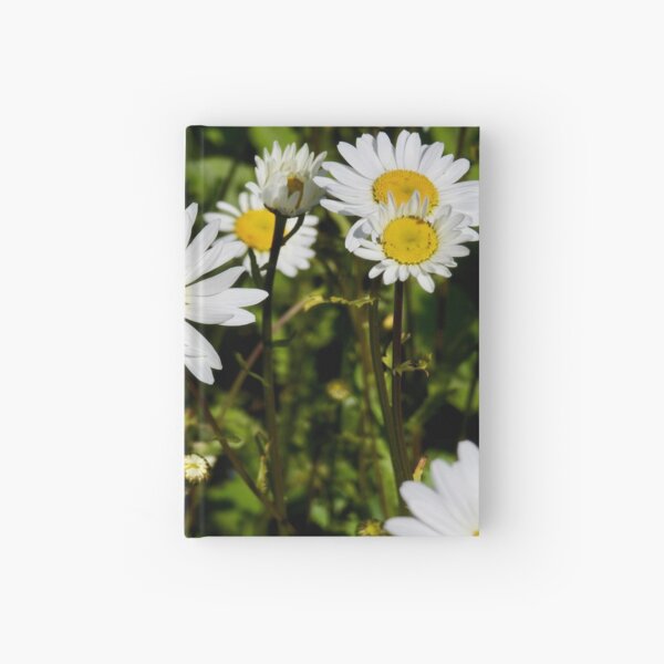 Hardcover Journal