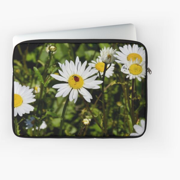 Laptop Sleeve
