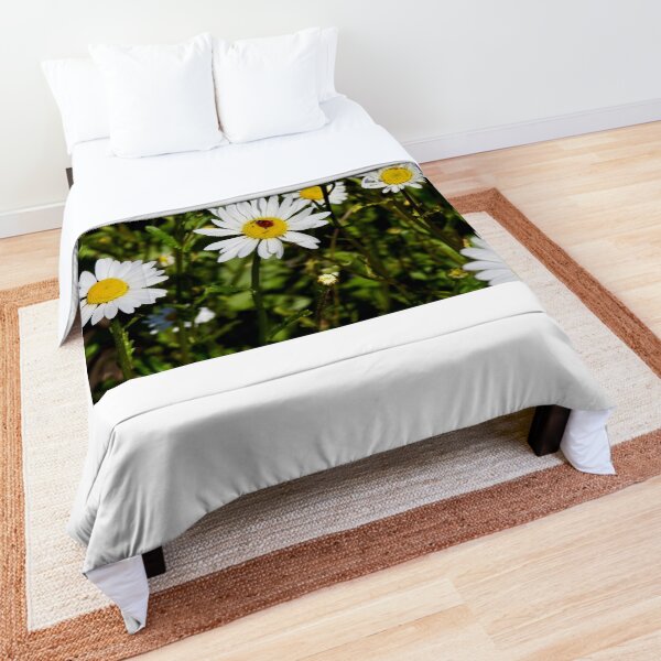 Comforter