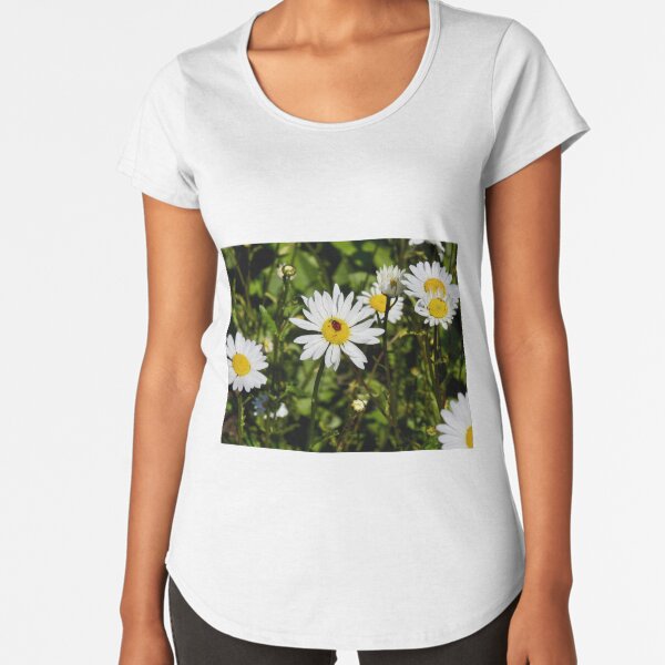 Premium Scoop T-Shirt