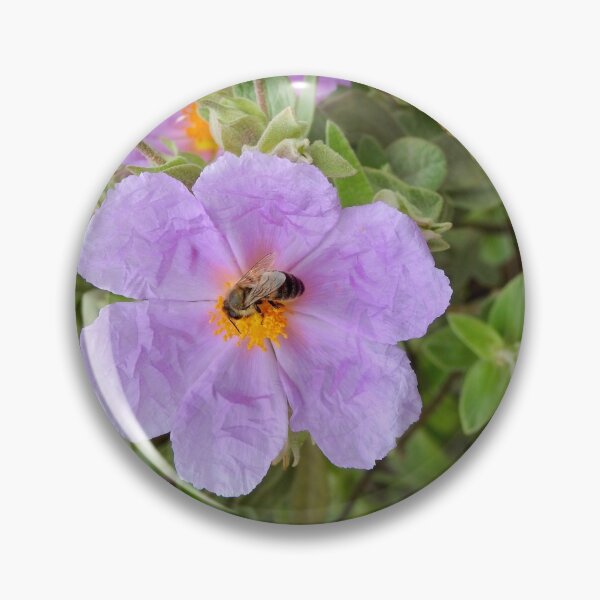Pin Button