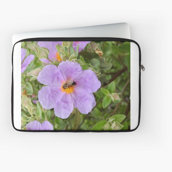 Laptop Sleeve