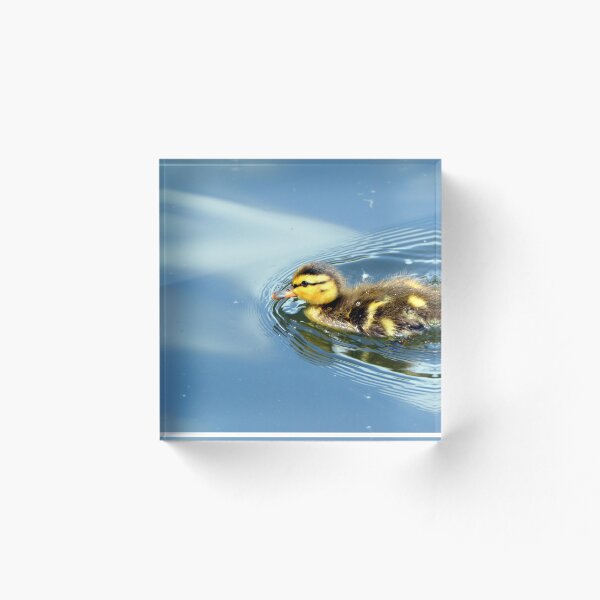 Item preview, Mallard duckling designed and sold by Drgnfly4free.