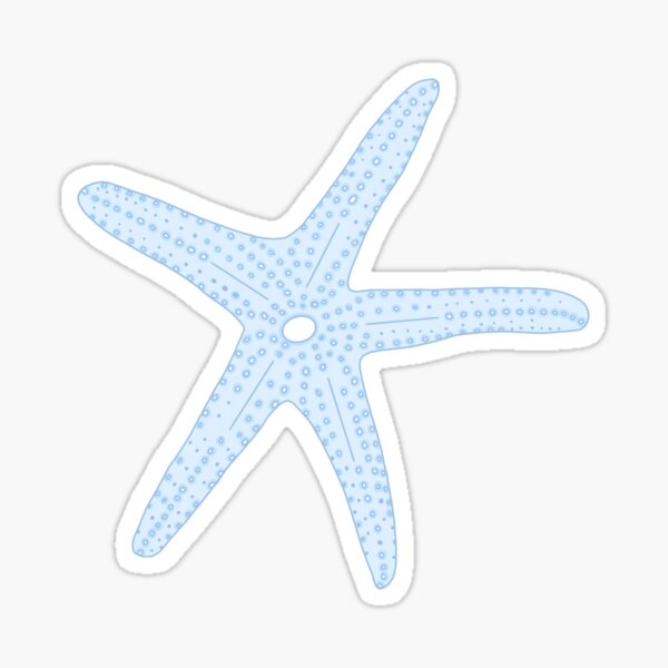 Starfish Sticker Sticker