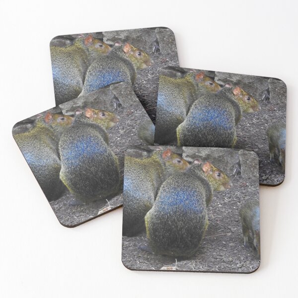 Item preview, Agouti Family  designed and sold by Martina Nicolls.