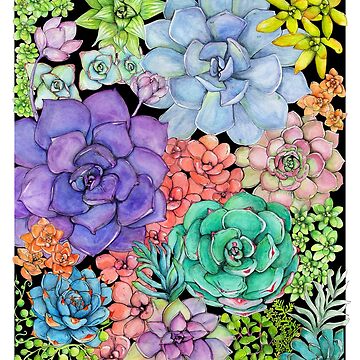 Artwork thumbnail, Succulent Collage by ShaunaMcc