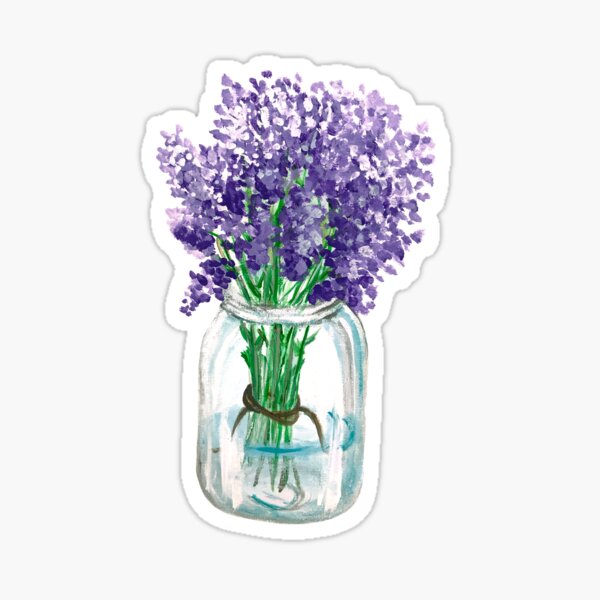 Lavender Plant Gifts & Merchandise for Sale