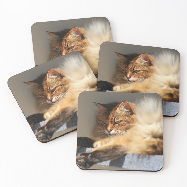 Item preview, Grumpy cat designed and sold by GreyFeatherPhot.