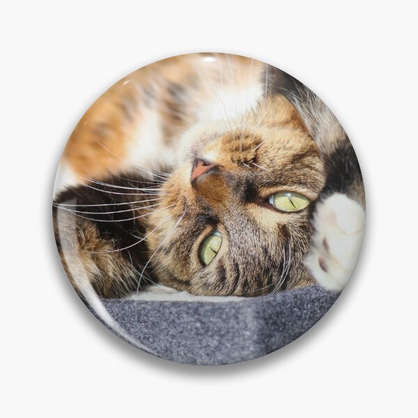 Item preview, Sunbeams designed and sold by GreyFeatherPhot.