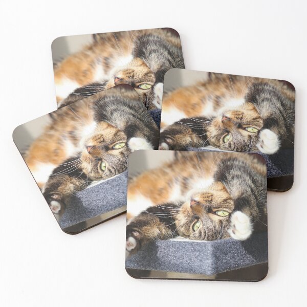 Item preview, Sunbeams designed and sold by GreyFeatherPhot.