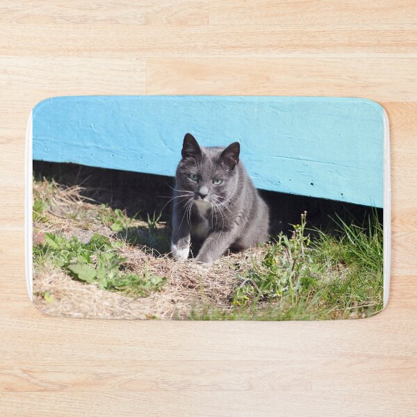 Item preview, Emerging cat designed and sold by GreyFeatherPhot.