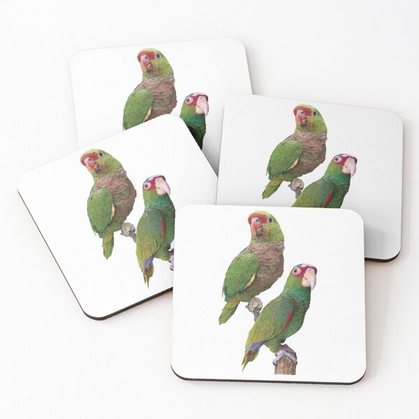 Item preview, Amazon parrots designed and sold by obscurite.