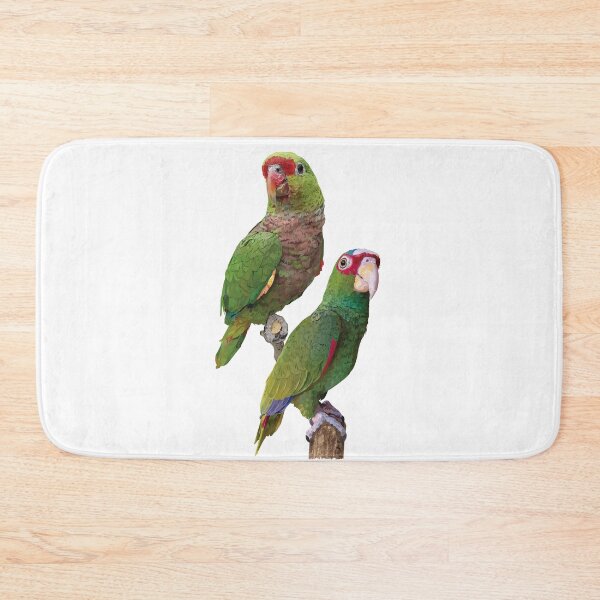 Item preview, Amazon parrots designed and sold by obscurite.
