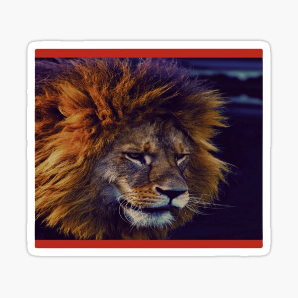 Pegatinas: Documental Leones | Redbubble