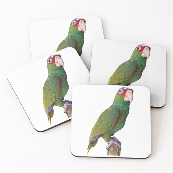 Item preview, White-fronted parrot designed and sold by obscurite.