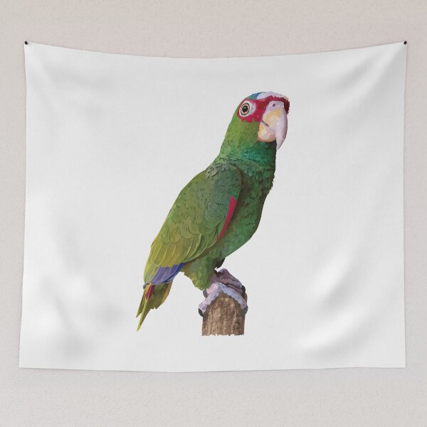 Item preview, White-fronted parrot designed and sold by obscurite.