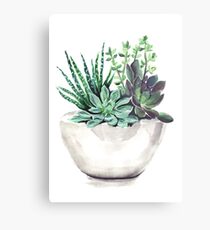 Succulents Metalldruck