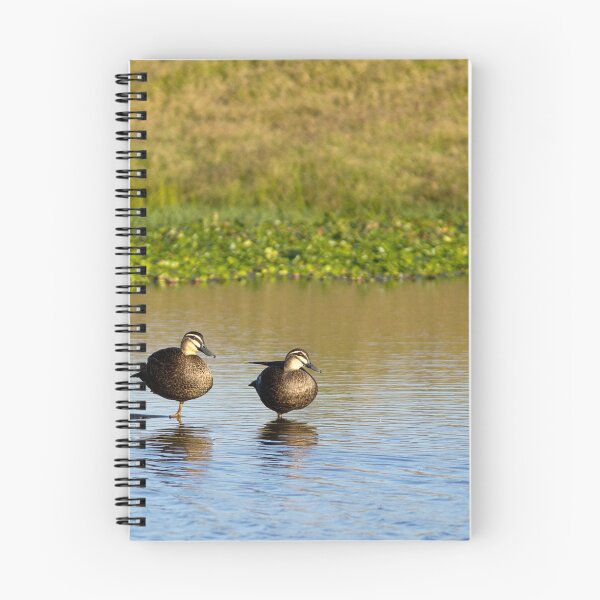Item preview, Pacific Black Ducks designed and sold by Peter Ford.