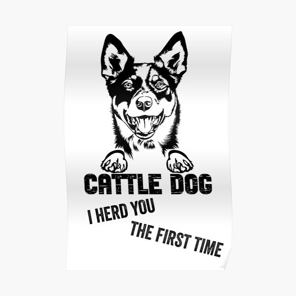 Australian Cattle Dog I Herd You The First Time Poster