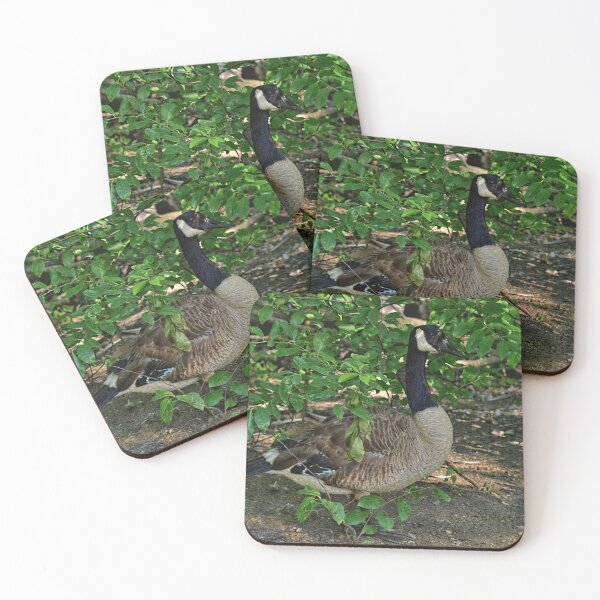 Item preview, The World Famous Bushman  designed and sold by Lanis Rossi.