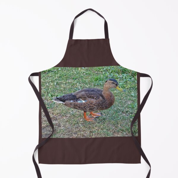 Item preview, If it looks like a duck.... designed and sold by Lanis Rossi.
