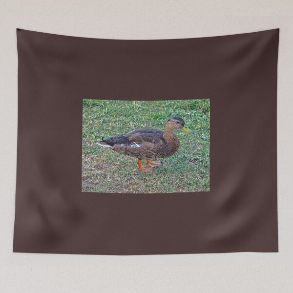 Item preview, If it looks like a duck.... designed and sold by Lanis Rossi.