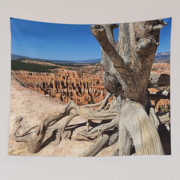 Item preview, A Tree Grows in Bryce Canyon designed and sold by MiddleJourney.