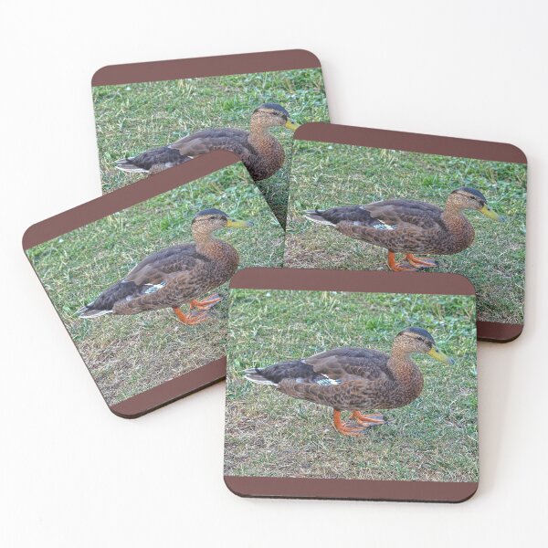 Item preview, If it looks like a duck.... designed and sold by Lanis Rossi.