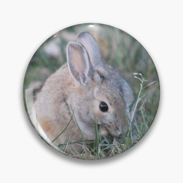 Item preview, Grass eating Rabbit designed and sold by Snowkitten.