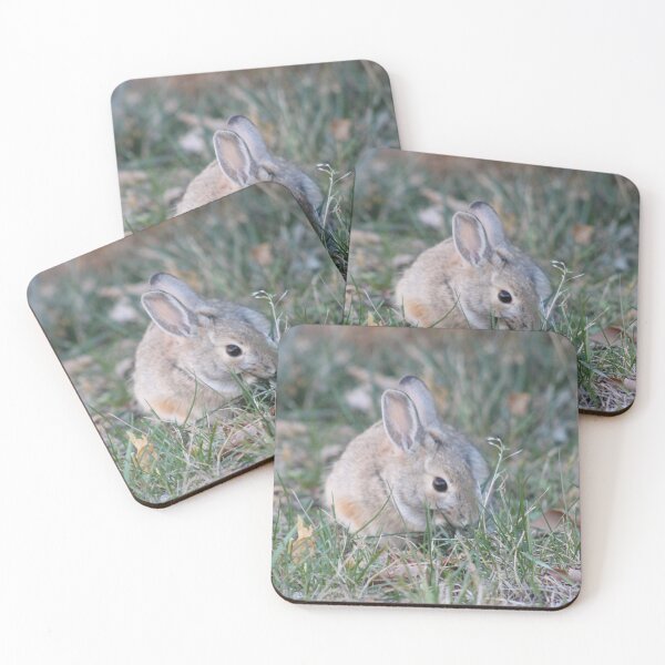 Item preview, Grass eating Rabbit designed and sold by Snowkitten.