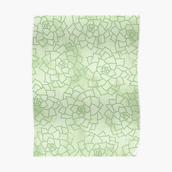 Succulents Plants Green Pattern Poster