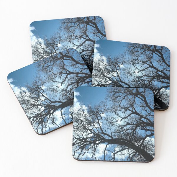Item preview, Leafless Trees and Blue Winter Sky designed and sold by KsbAesthetics.