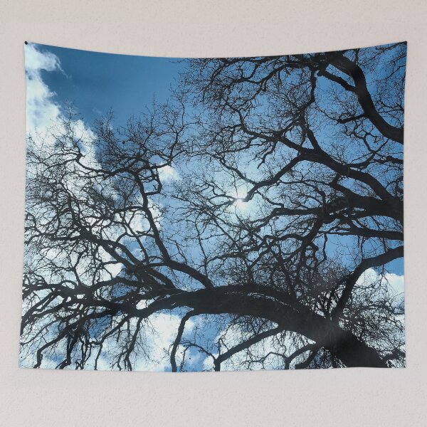 Item preview, Leafless Trees and Blue Winter Sky designed and sold by KsbAesthetics.